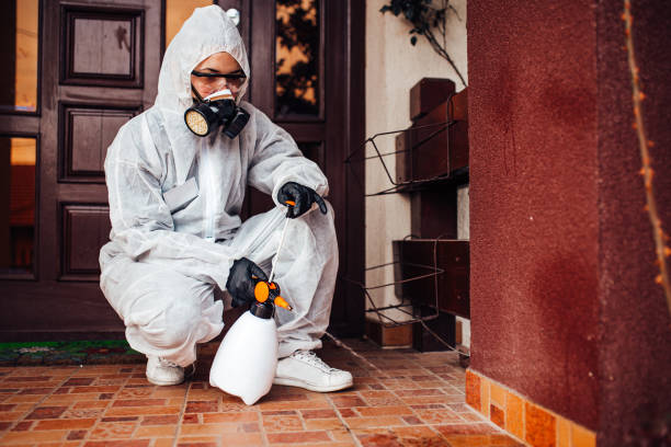 Attic and Crawl Space Rodent Treatment in Tyndall AFB