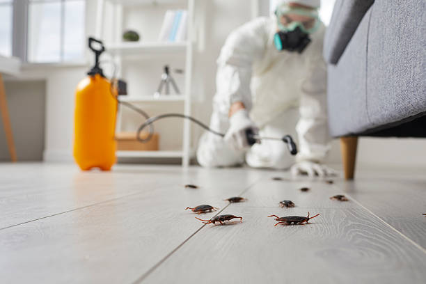 Commercial Rodent Management in Tyndall AFB