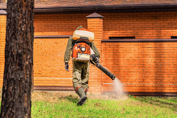 Rodent Follow-Up Monitoring in Tyndall AFB